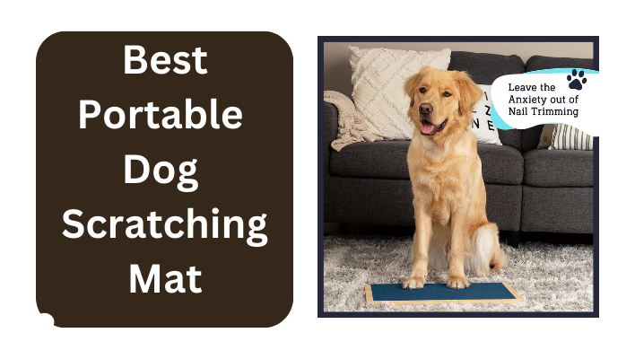 Best Portable Dog Scratching Mat