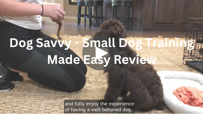 Dog-Savvy-Small-Dog-Training-Made-Easy-Review