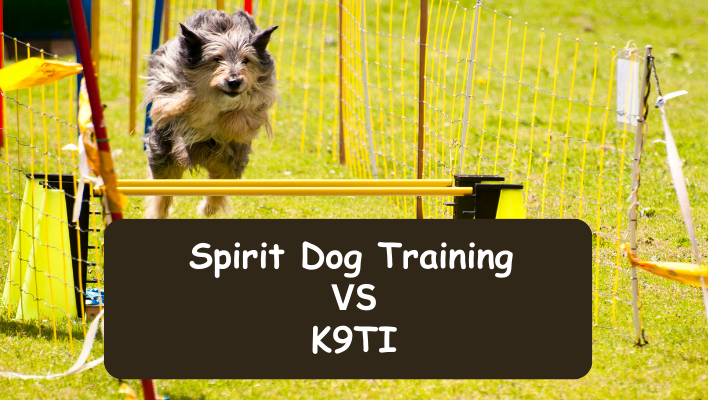 Spirit Dog Training vs K9TI