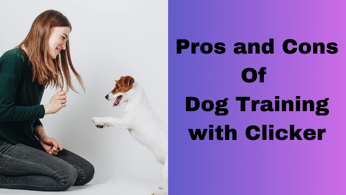 Pros and Cons of Dog Training with Clicker